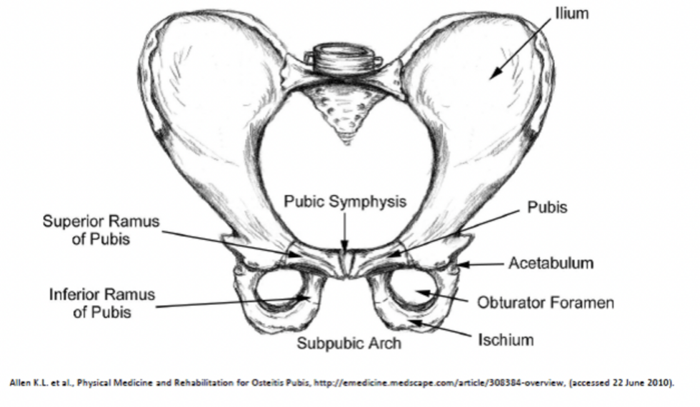 Osteitis Pubis and Groin Pain | CSPC physiotherapy